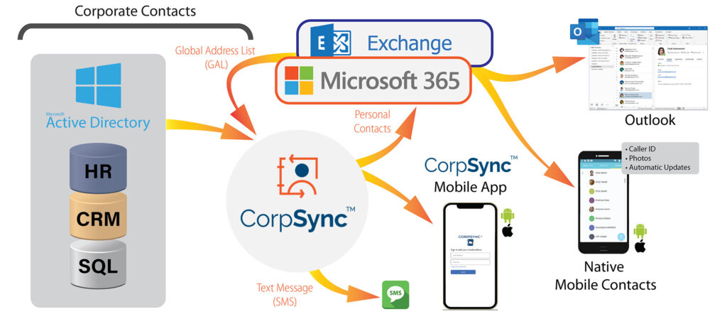 sync gal contacts